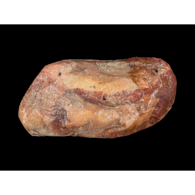 Pastrami Brikset Mybarbecue con cura pronti il 27-11