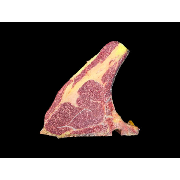 Costata Cavallo Islandese 6+