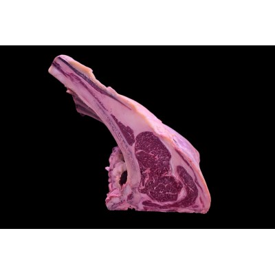 Costata OldCow 6+