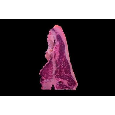 Tbone OldCOw 6+