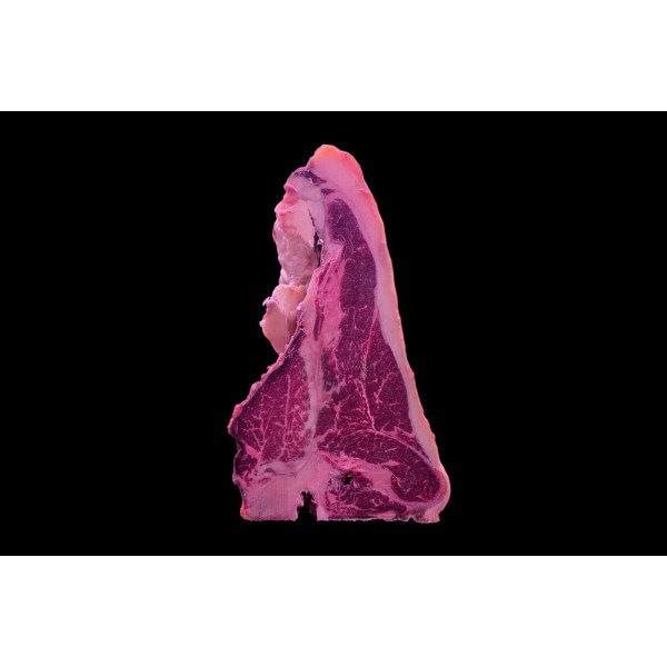Tbone OldCOw 6+